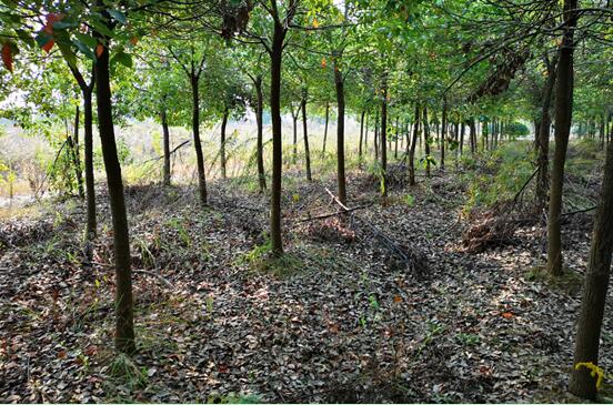 ���Ϸ���վ���¼��g�a(ch��n)�I(y��)�_�l(f��)�^(q��)**���B(t��i)��(j��ng)���l(f��)չ���޹�˾�����ټ��w�����ϵķ������C���O�估��������Y�a(ch��n)�Ј��rֵ�u�����Ŀ����