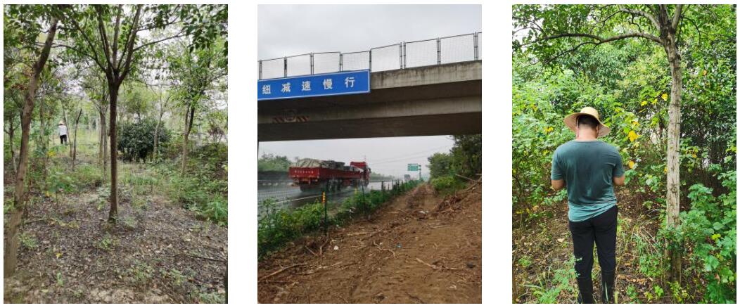 �Ϸ����L�S�h�����~���ٸĔU�����̸����������a���r���u��